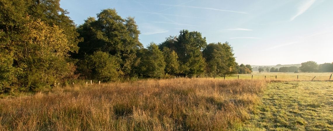 Prairie Baclain