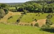 Vue sur les parcelles Nord du Vallon du Wayot