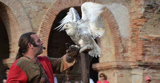 Démonstration de rapaces