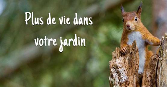 Aménagez votre jardin avec Vivara et soutenez Natagora