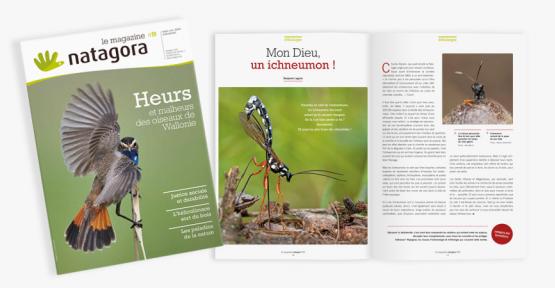 Couverture du magazine 99