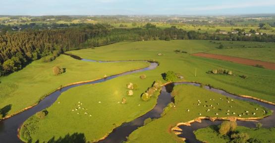 Vue aérienne de la réserve de la Breuvanne 