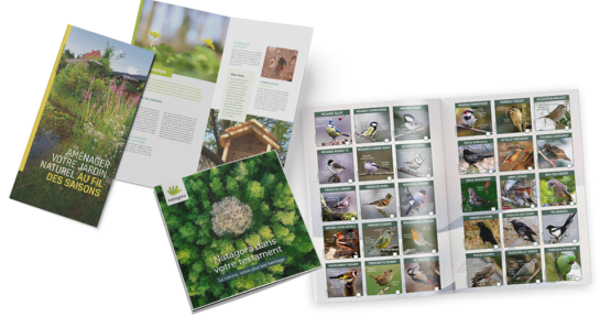 Les brochures
