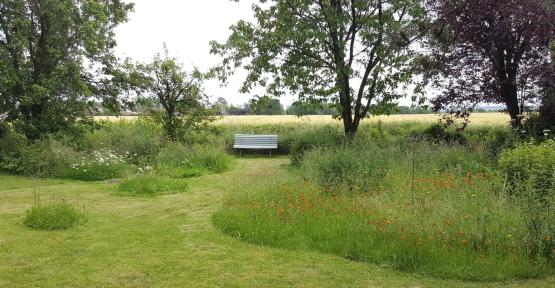Jardin naturel