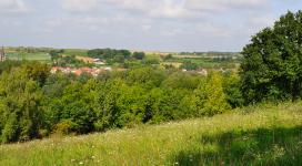 Pelouse calcaire en fleurs